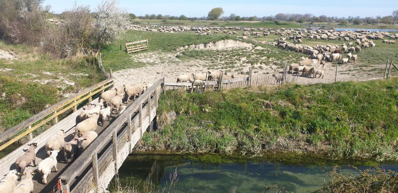 La Massette Villa Favières Dış mekan fotoğraf